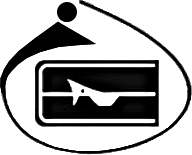company name